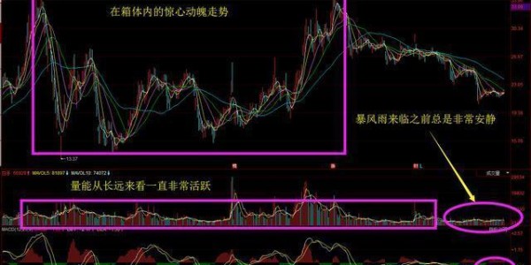 媒体质疑VAR介入时机  